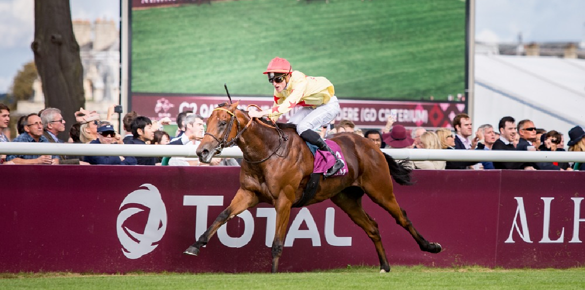 AlHazm official sponsor of Qatar Prix de l’arc de triomph france 2016