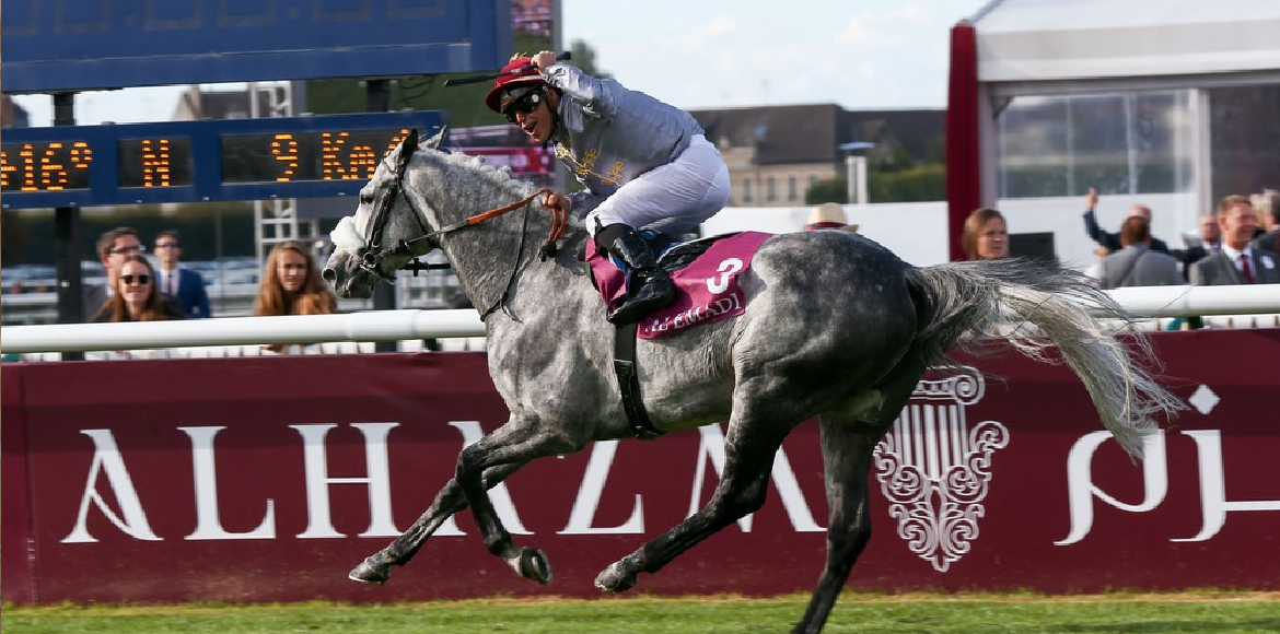 AlHazm official sponsor of Qatar Prix de l’arc de triomph france 2016