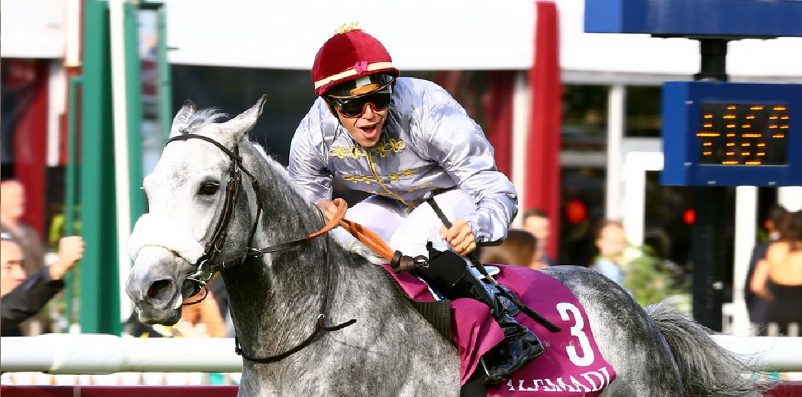 AlHazm official sponsor of Qatar Prix de l’arc de triomph france 2016