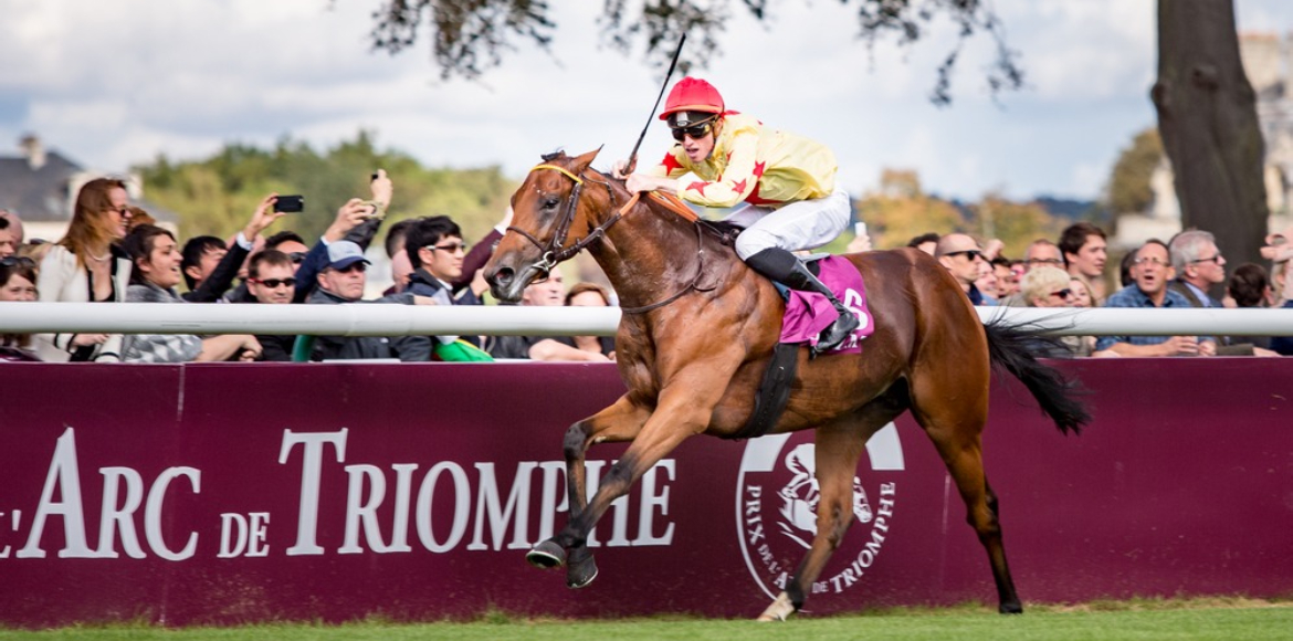 AlHazm official sponsor of Qatar Prix de l’arc de triomph france 2016